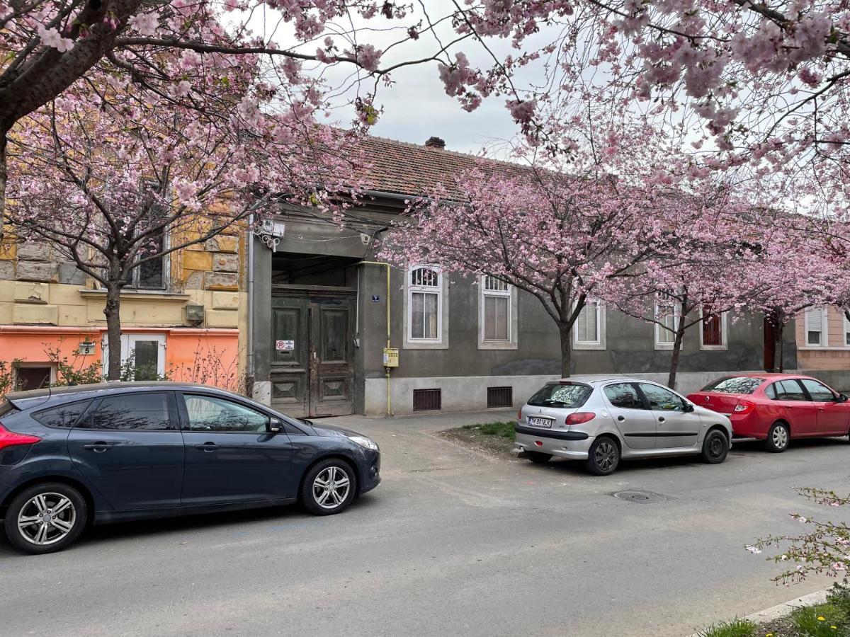 Dulcineea Downtown Garden Studio Timisoara Exterior photo