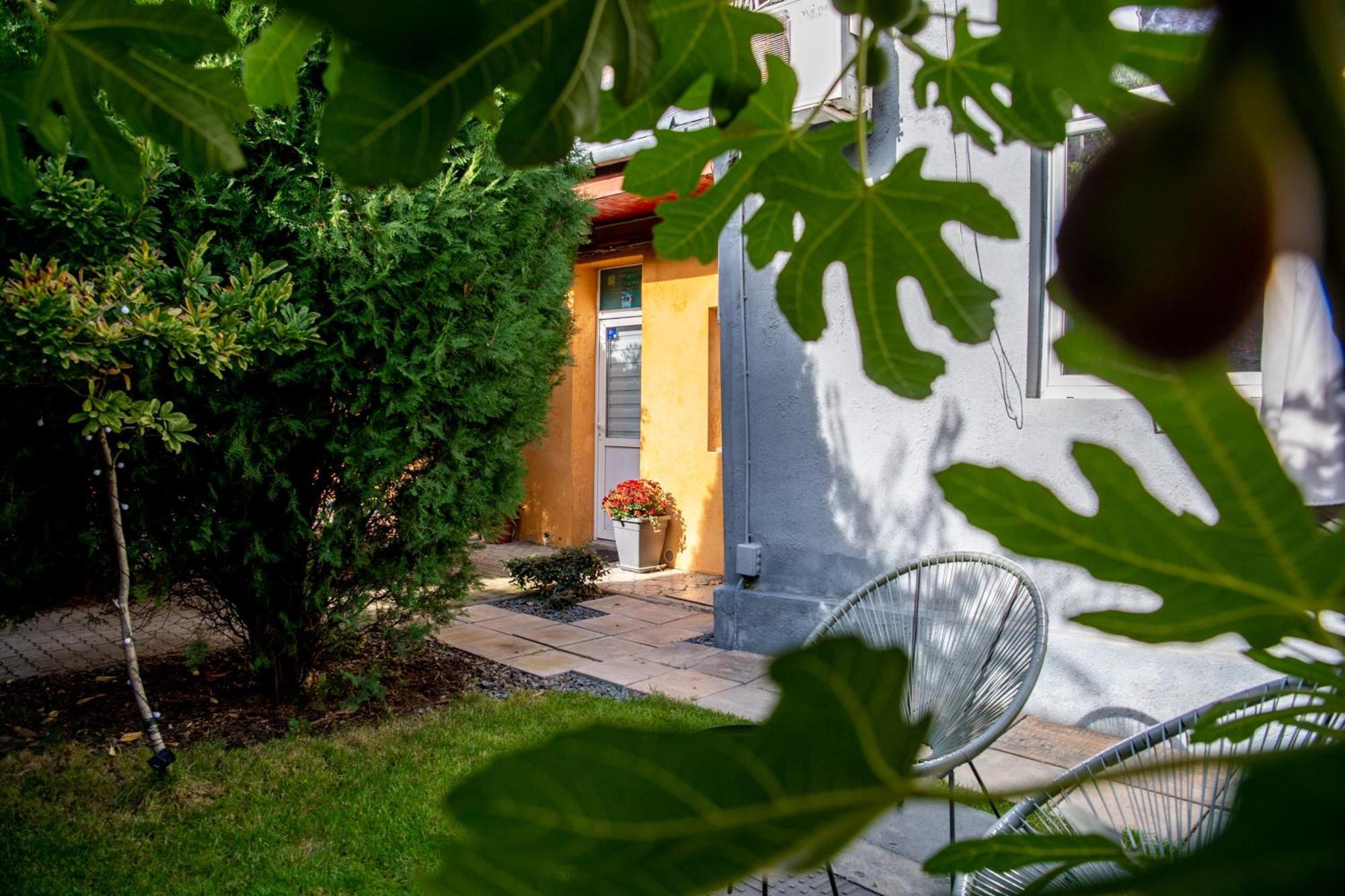 Dulcineea Downtown Garden Studio Timisoara Exterior photo